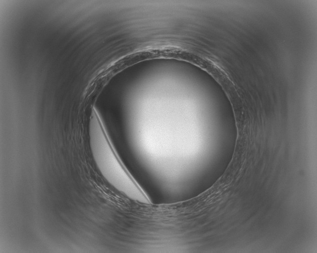 X0000056360920200508260942