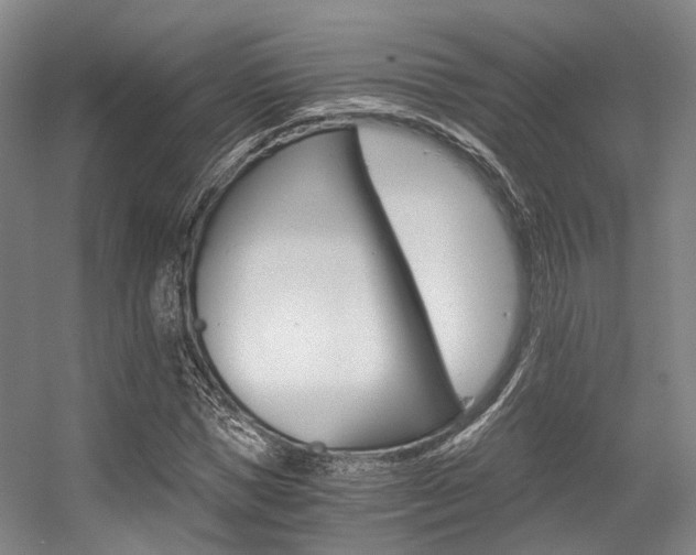 X0000056360921200508260942