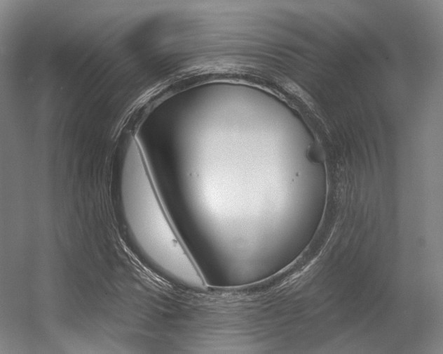 X0000056360922200508260942