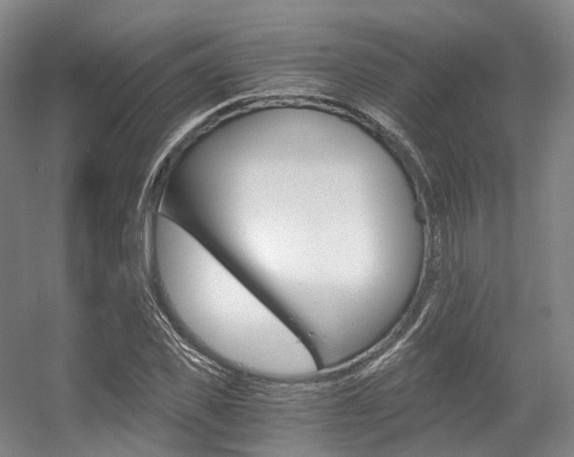 X0000056360925200508260942