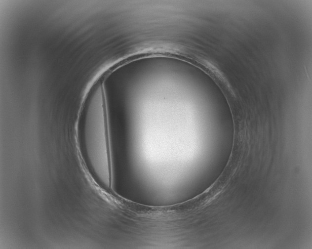 X0000056360936200508260942