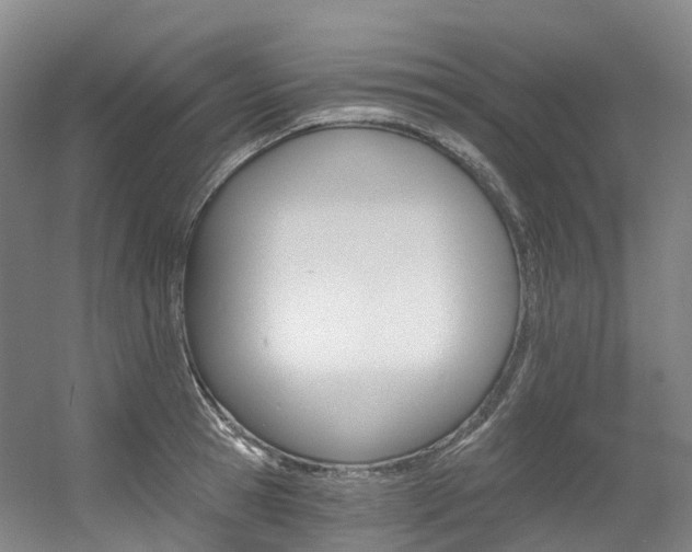 X0000056360945200508260942