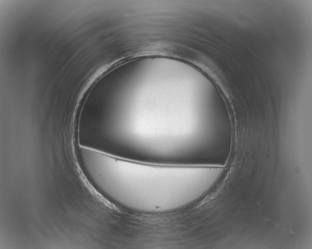 X0000056360949200508260942