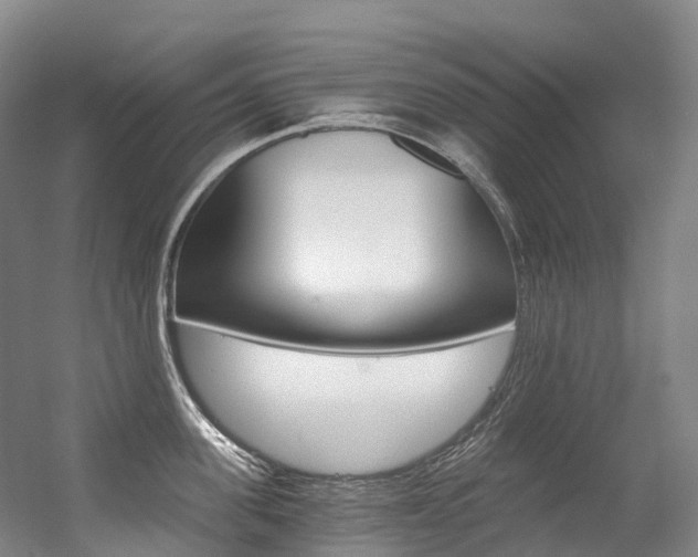 X0000056360955200508260942