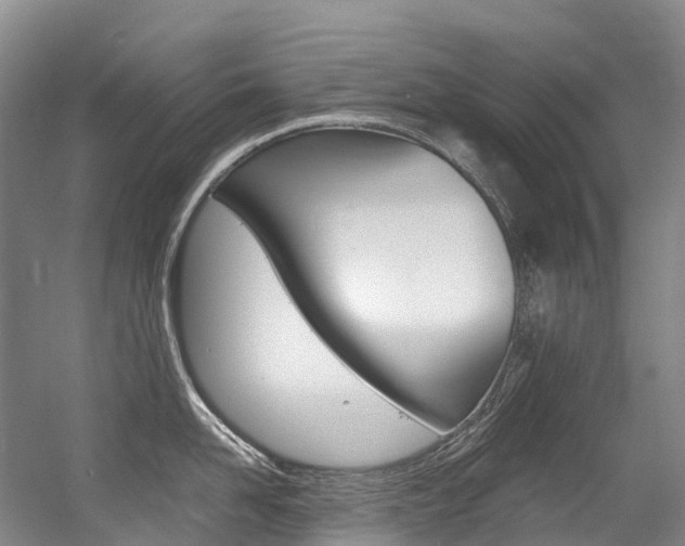 X0000056360958200508260942