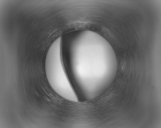 X0000056360964200508260942