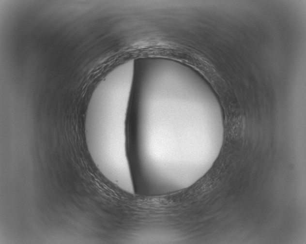 X0000056360966200508260942