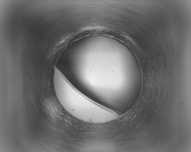 X0000056360967200508260942