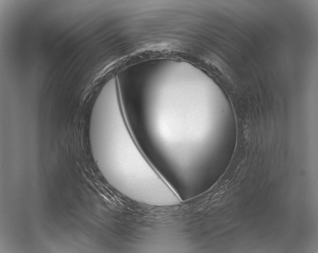 X0000056360968200508260942