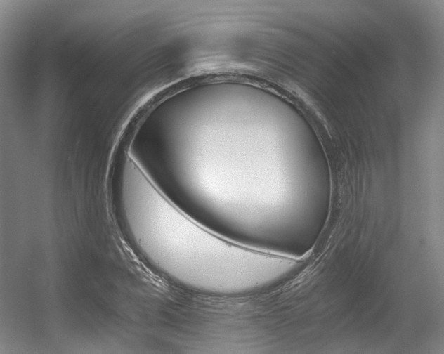 X0000056360975200508260941