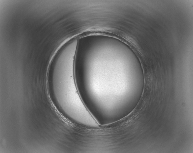 X0000056360976200508260941