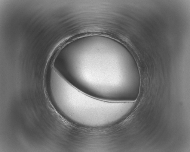 X0000056360979200508260941