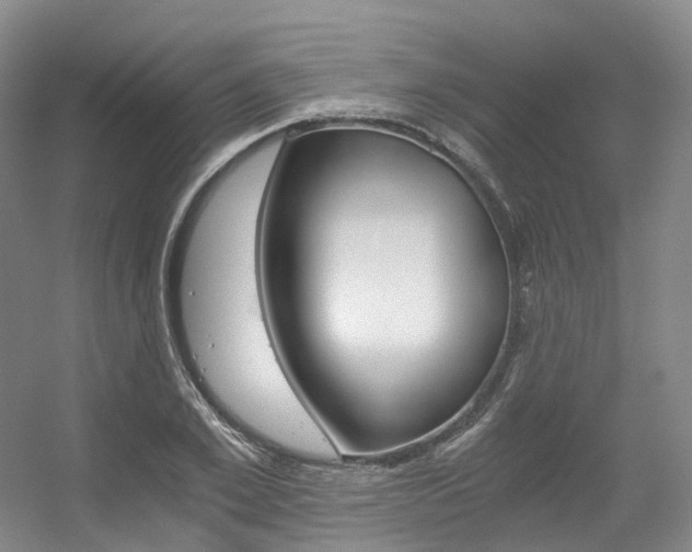 X0000056360981200508260941