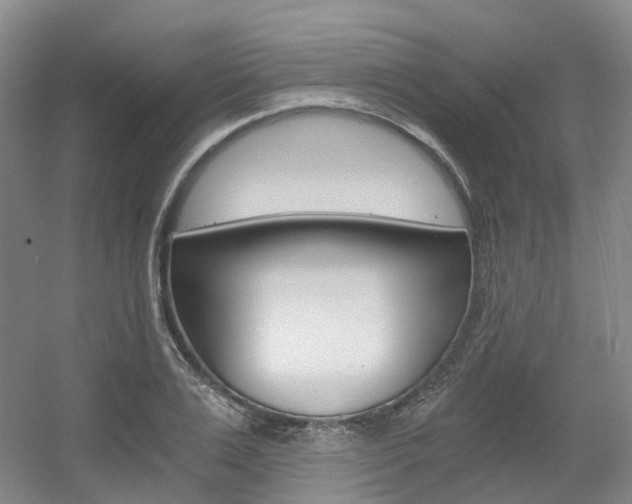 X0000056360983200508260941