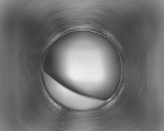 X0000056360985200508260941
