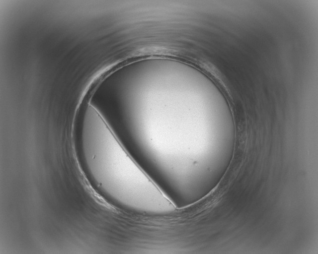 X0000056360987200508260941