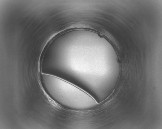 X0000056360988200508260941