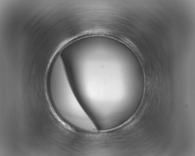 X0000056360989200508260941