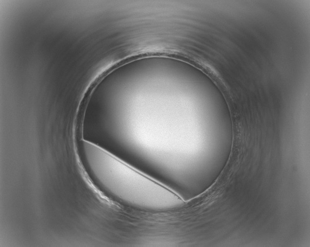 X0000056360991200508260941
