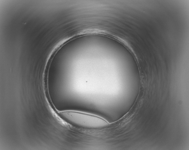 X0000056360995200508260941
