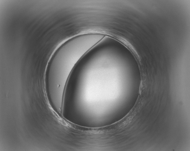 X0000056360996200508260941
