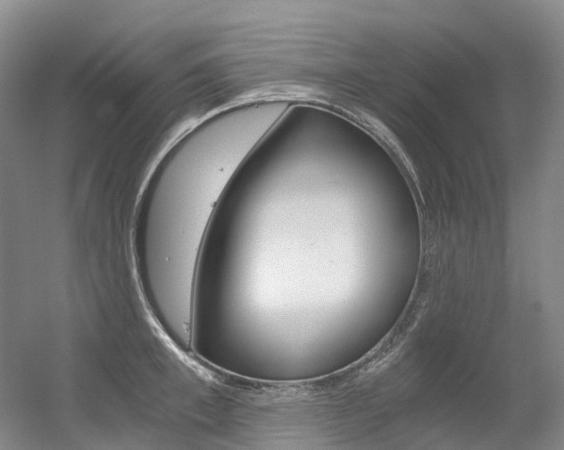 X0000056360997200508260941