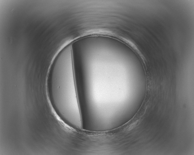 X0000056360999200508260941