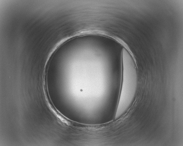 X0000056361005200508260941