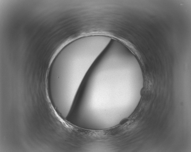 X0000056361006200508260941