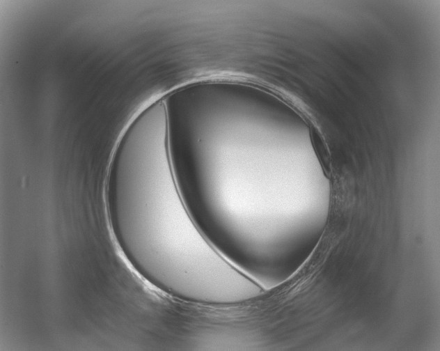 X0000056361007200508260941