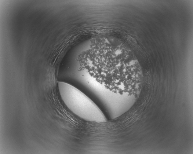X0000056361009200508260940