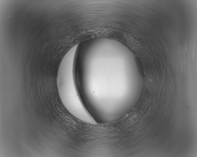 X0000056361010200508260940