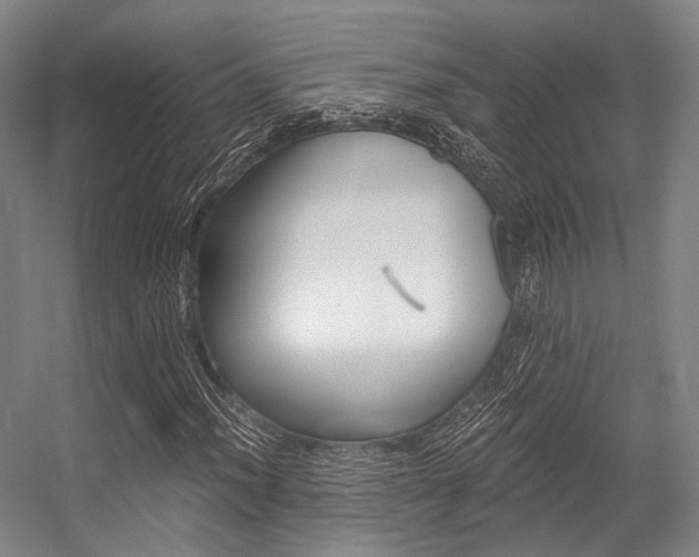 X0000056361012200508260940