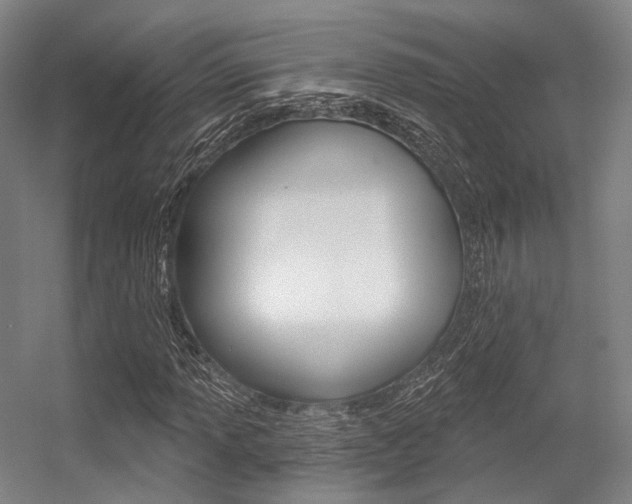 X0000056361013200508260940
