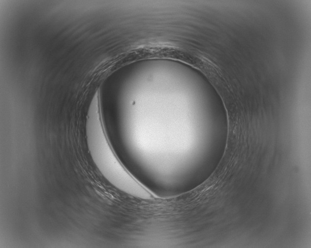 X0000056361014200508260940