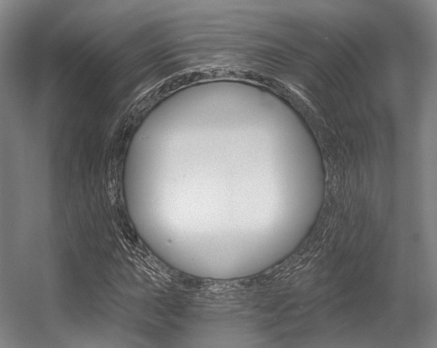 X0000056361015200508260940