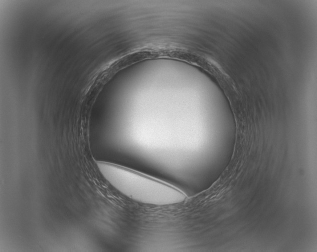 X0000056361016200508260940