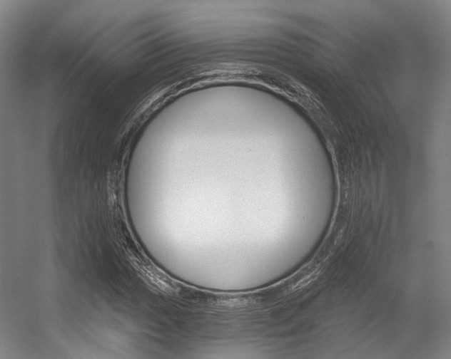 X0000056361017200508260940