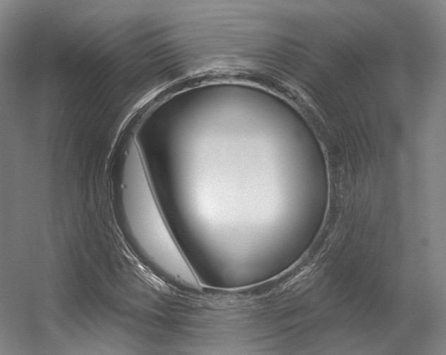 X0000056361018200508260940