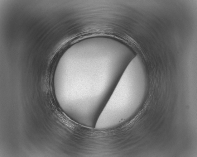 X0000056361019200508260940