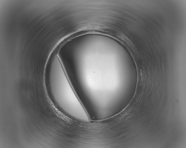 X0000056361020200508260940