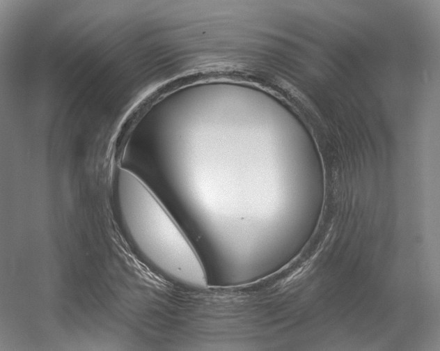 X0000056361021200508260940