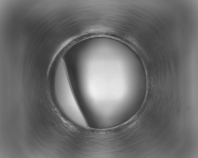 X0000056361022200508260940