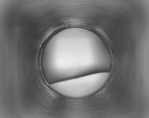 X0000056361023200508260940