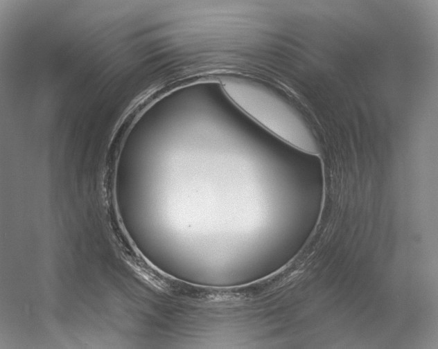 X0000056361026200508260940
