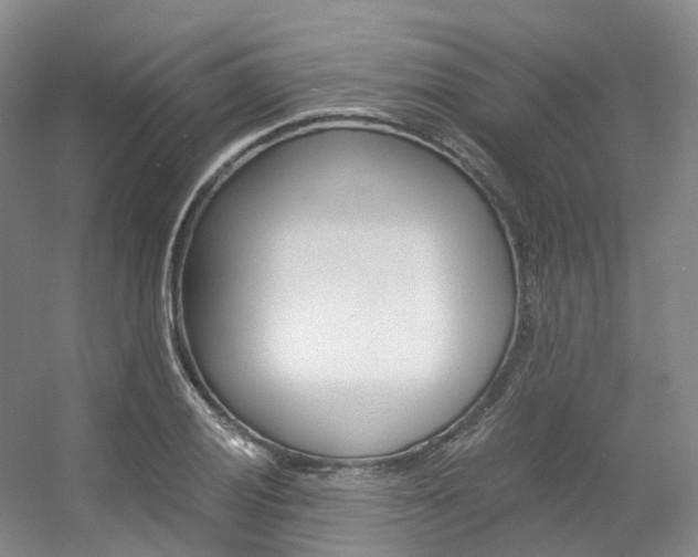 X0000056361028200508260940