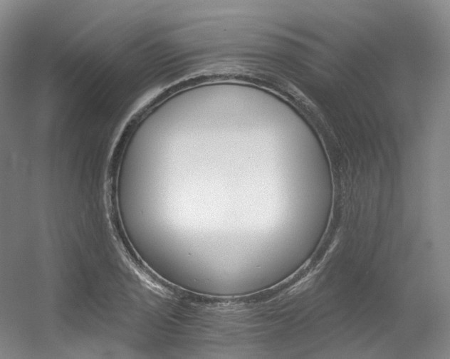 X0000056361029200508260940