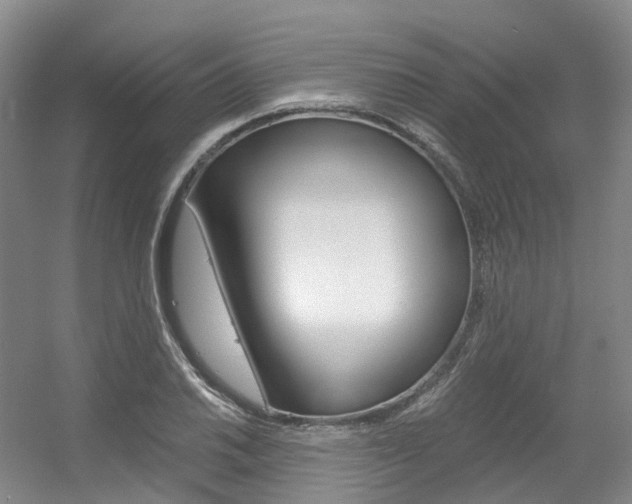 X0000056361030200508260940
