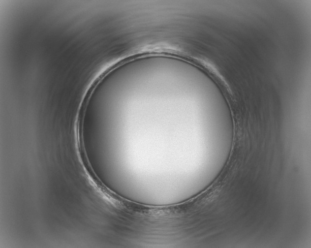 X0000056361032200508260940