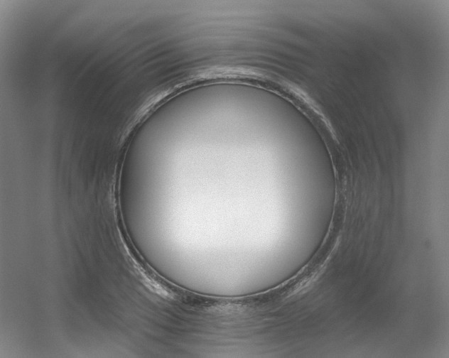 X0000056361033200508260941